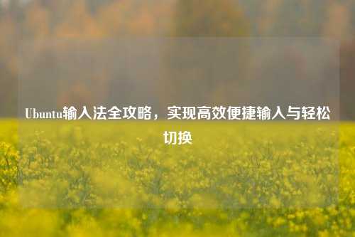 Ubuntu输入法全攻略，实现高效便捷输入与轻松切换