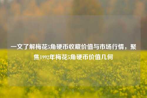 一文了解梅花5角硬币收藏价值与市场行情，聚焦1992年梅花5角硬币价值几何