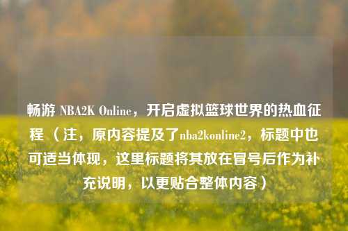 畅游 NBA2K Online,开启虚拟篮球世界的热血征程 (注,原内容提及了nba2konline2,标题中也可适当体现,这里标题将其放在冒号后作为补充说明,以更贴合整体内容)
