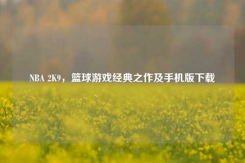 NBA 2K9，篮球游戏经典之作及手机版下载