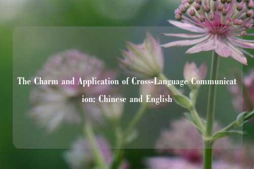 The Charm and Application of Cross-Language Communication: Chinese and English
