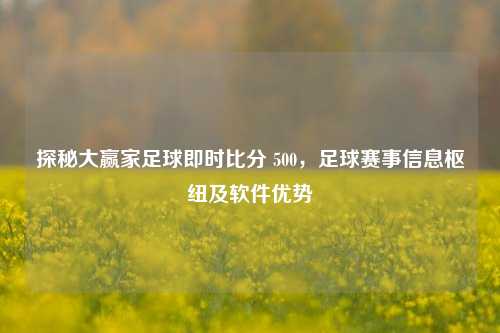 探秘大赢家足球即时比分 500，足球赛事信息枢纽及软件优势