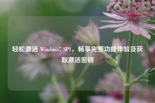 轻松激活 Windows7 SP1,畅享完整功能体验及获取激活密钥