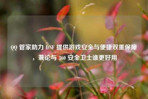 QQ 管家助力 DNF 提供游戏安全与便捷双重保障，兼论与 360 安全卫士谁更好用
