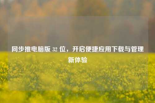 同步推电脑版 32 位,开启便捷应用下载与管理新体验