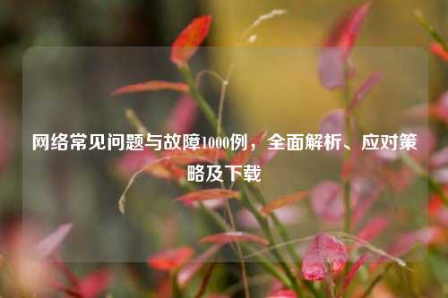 网络常见问题与故障1000例，全面解析、应对策略及下载