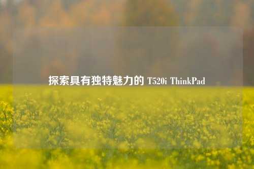 探索具有独特魅力的 T520i ThinkPad