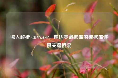 深入解析 CONN.ASP,连达梦数据库的数据库连接关键桥梁