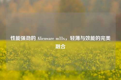 性能强劲的 Alienware m11x,轻薄与效能的完美融合