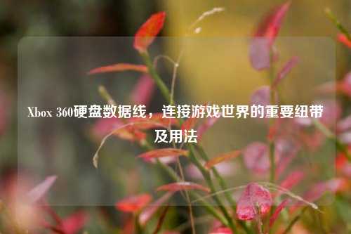 Xbox 360硬盘数据线,连接游戏世界的重要纽带及用法