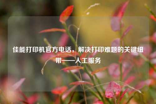 佳能打印机官方电话,解决打印难题的关键纽带——人工服务
