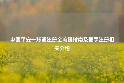中国平安一账通注册全流程指南及登录注册相关介绍