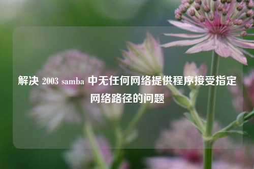 解决 2003 samba 中无任何网络提供程序接受指定网络路径的问题