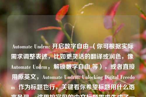 Automate Undrm: 开启数字自由 (你可根据实际需求调整表述,比如更灵活的翻译或润色,像 Automate Undrm,解锁数字自由 等),或者直接用原英文,Automate Undrm: Unlocking Digital Freedom 作为标题也行,关键看你希望标题用什么语言呈现 。这里按常见的中文标题需求生成了一个示例,供你参考。若有特殊要求,请随时告诉我。 你是更倾向于英文还是中文标题呢🧐,可确定为,Automate Undrm,解锁数字自由