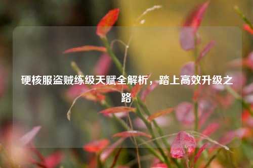 硬核服盗贼练级天赋全解析,踏上高效升级之路