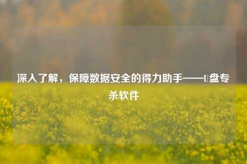 深入了解,保障数据安全的得力助手——U盘专杀软件
