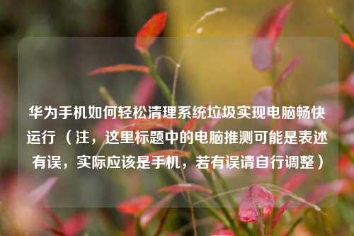 华为手机如何轻松清理系统垃圾实现电脑畅快运行 (注,这里标题中的电脑推测可能是表述有误,实际应该是手机,若有误请自行调整)