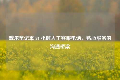 戴尔笔记本 24 小时人工客服电话,贴心服务的沟通桥梁
