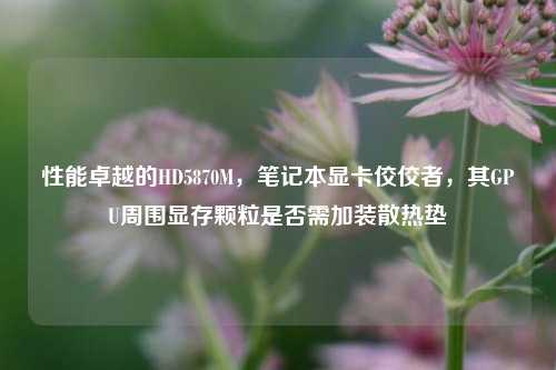 性能卓越的HD5870M,笔记本显卡佼佼者,其GPU周围显存颗粒是否需加装散热垫