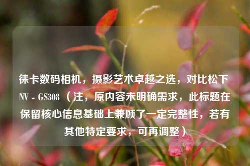 徕卡数码相机,摄影艺术卓越之选,对比松下 NV - GS308 (注,原内容未明确需求,此标题在保留核心信息基础上兼顾了一定完整性,若有其他特定要求,可再调整)