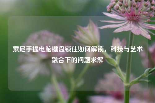 索尼手提电脑键盘锁住如何解锁,科技与艺术融合下的问题求解