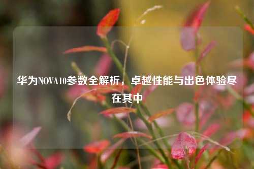 华为NOVA10参数全解析,卓越性能与出色体验尽在其中