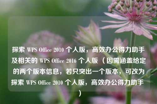 探索 WPS Office 2010 个人版,高效办公得力助手及相关的 WPS Office 2016 个人版 (因需涵盖给定的两个版本信息,若只突出一个版本,可改为探索 WPS Office 2010 个人版,高效办公得力助手 )