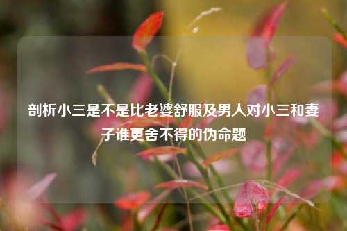 剖析小三是不是比老婆舒服及男人对小三和妻子谁更舍不得的伪命题