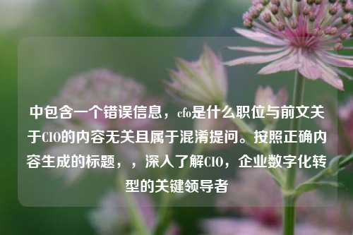 中包含一个错误信息,cfo是什么职位与前文关于CIO的内容无关且属于混淆提问。按照正确内容生成的标题,,深入了解CIO,企业数字化转型的关键领导者