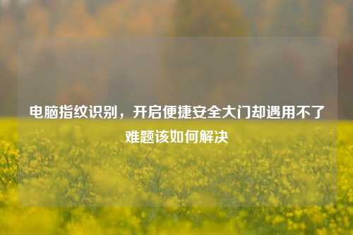 电脑指纹识别,开启便捷安全大门却遇用不了难题该如何解决