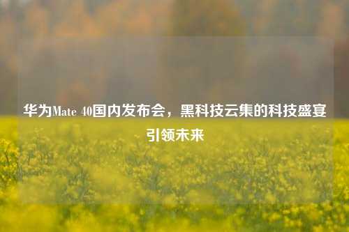 华为Mate 40国内发布会,黑科技云集的科技盛宴引领未来