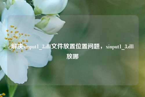 解决xinput1_3.dll文件放置位置问题,xinput1_3.dll放哪