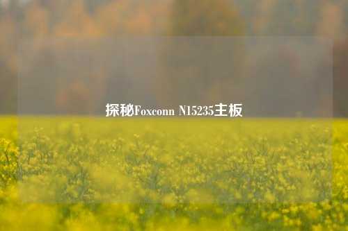 探秘Foxconn N15235主板