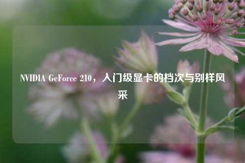 NVIDIA GeForce 210,入门级显卡的档次与别样风采