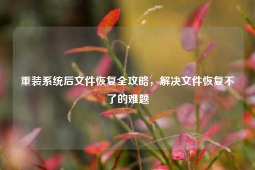 重装系统后文件恢复全攻略,解决文件恢复不了的难题
