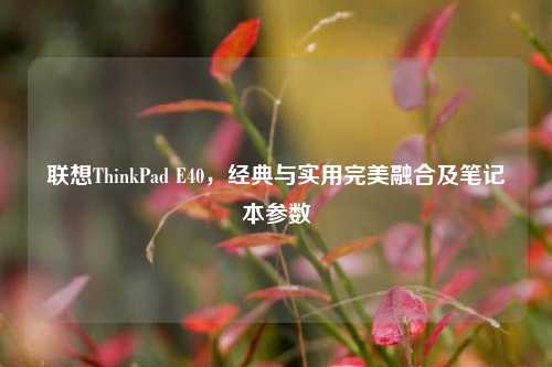 联想ThinkPad E40，经典与实用完美融合及笔记本参数