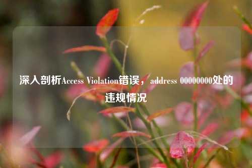 深入剖析Access Violation错误,address 00000000处的违规情况