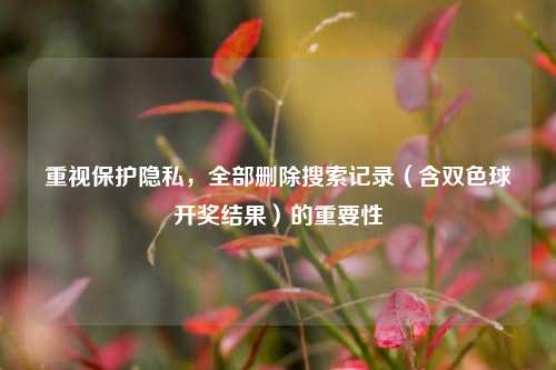 重视保护隐私,全部删除搜索记录(含双色球开奖结果)的重要性