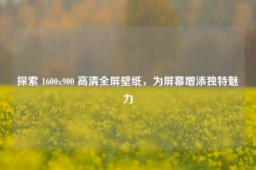 探索 1600x900 高清全屏壁纸,为屏幕增添独特魅力