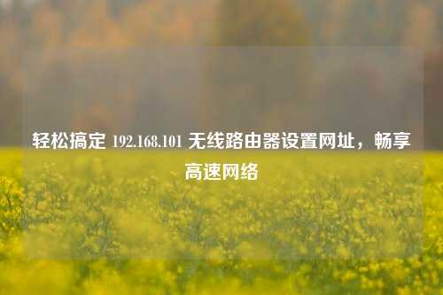 轻松搞定 192.168.101 无线路由器设置网址，畅享高速网络