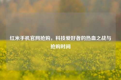 红米手机官网抢购，科技爱好者的热血之战与抢购时间