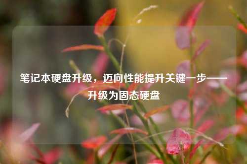 笔记本硬盘升级,迈向性能提升关键一步——升级为固态硬盘