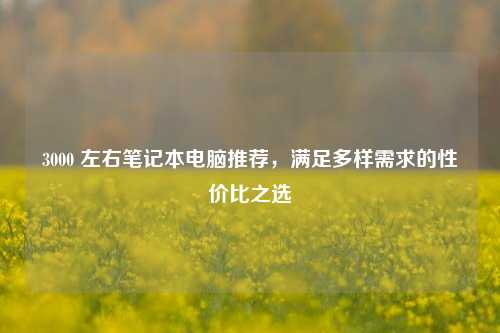 3000 左右笔记本电脑推荐，满足多样需求的性价比之选