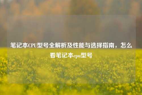 笔记本CPU型号全解析及性能与选择指南，怎么看笔记本cpu型号