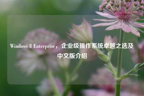 Windows 8 Enterprise，企业级操作系统卓越之选及中文版介绍