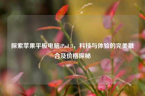 探索苹果平板电脑iPad 3，科技与体验的完美融合及价格探秘