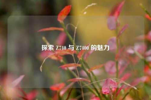 探索 Z740 与 Z7400 的魅力