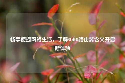 畅享便捷网络生活，了解SOHO路由器含义开启新体验
