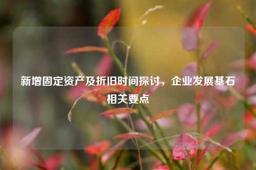 新增固定资产及折旧时间探讨,企业发展基石相关要点