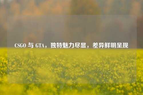 CSGO 与 GTA,独特魅力尽显,差异鲜明呈现
